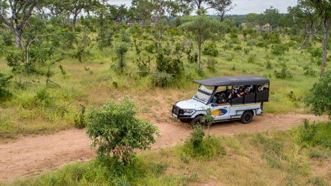 Open Vehicle Safaris