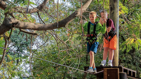 Tree Top Adventures