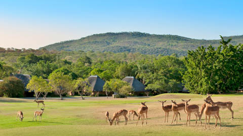 Golf - Kruger Park Lodge