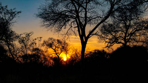 Dawn to Dusk - Overnight Safaris