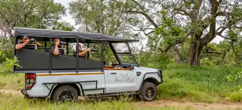 Kruger Park Safaris