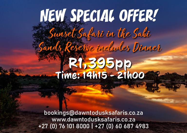 Dawn To Dusk Safaris - Special Offer