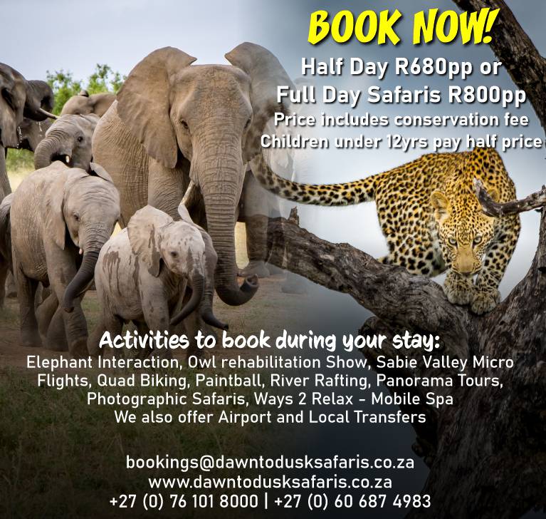 Dawn To Dusk Safaris - Special Offer