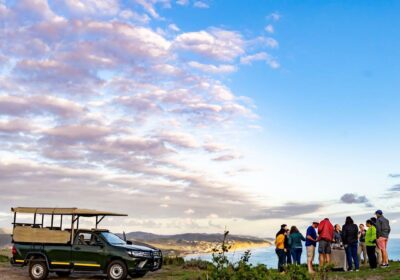 Nature Drive & Sundowner Experience