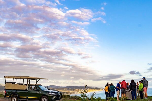 Nature Drive & Sundowner Experience