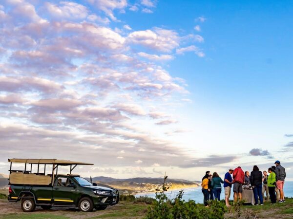 Nature Drive & Sundowner Experience